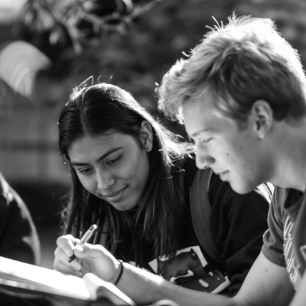 Учебная/Студенческая виза