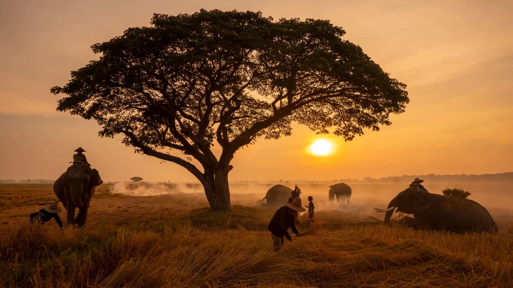 Эфиопия — прародина человечества, церкви в скалах и долина Омо