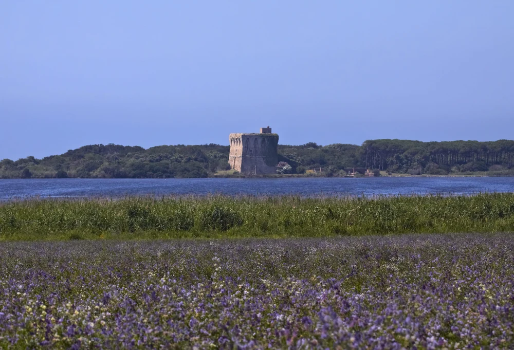 Вино, океан и устрицы: юго-запад Франции со смыслом