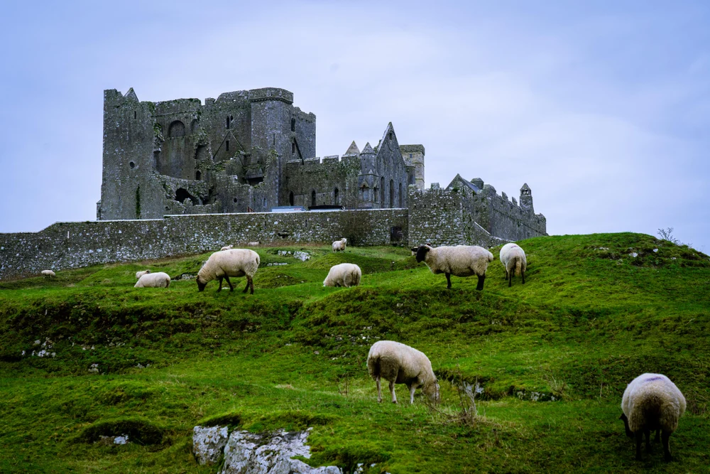 Тропой Туата Де Дананн: в гости к народу холмов