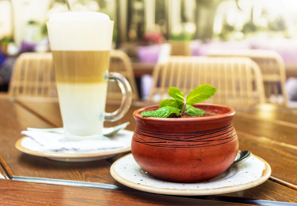 Тропой Туата Де Дананн: в гости к народу холмов